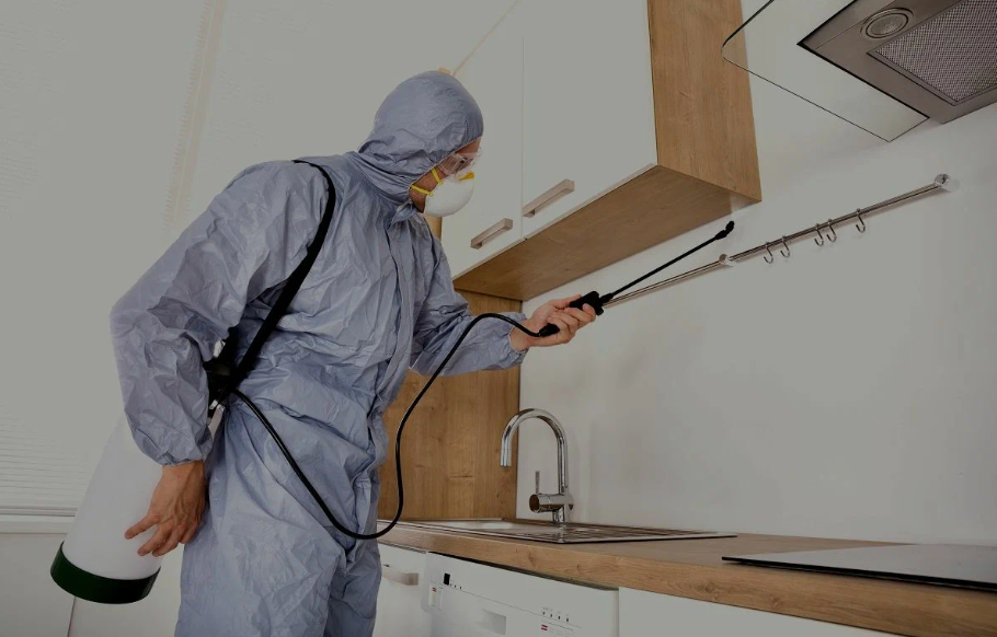 Maywood pest managment